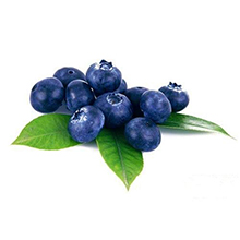 智利蓝莓